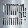 Cobra CXJR/CXSR/FWE Titanium Engine Bolt Kit